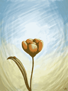 kwiatek-pomaranczowy-2007-digital